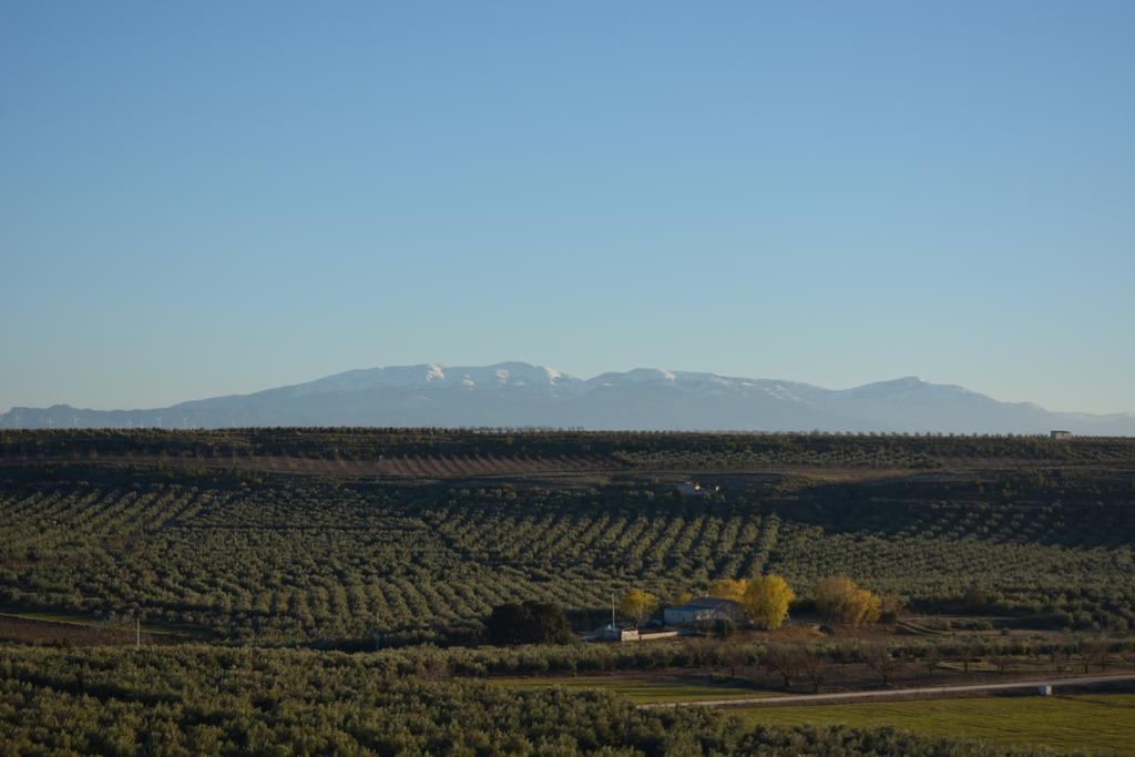 בית הארחה Fontanar 	Casas Cuevas Elmirador מראה חיצוני תמונה